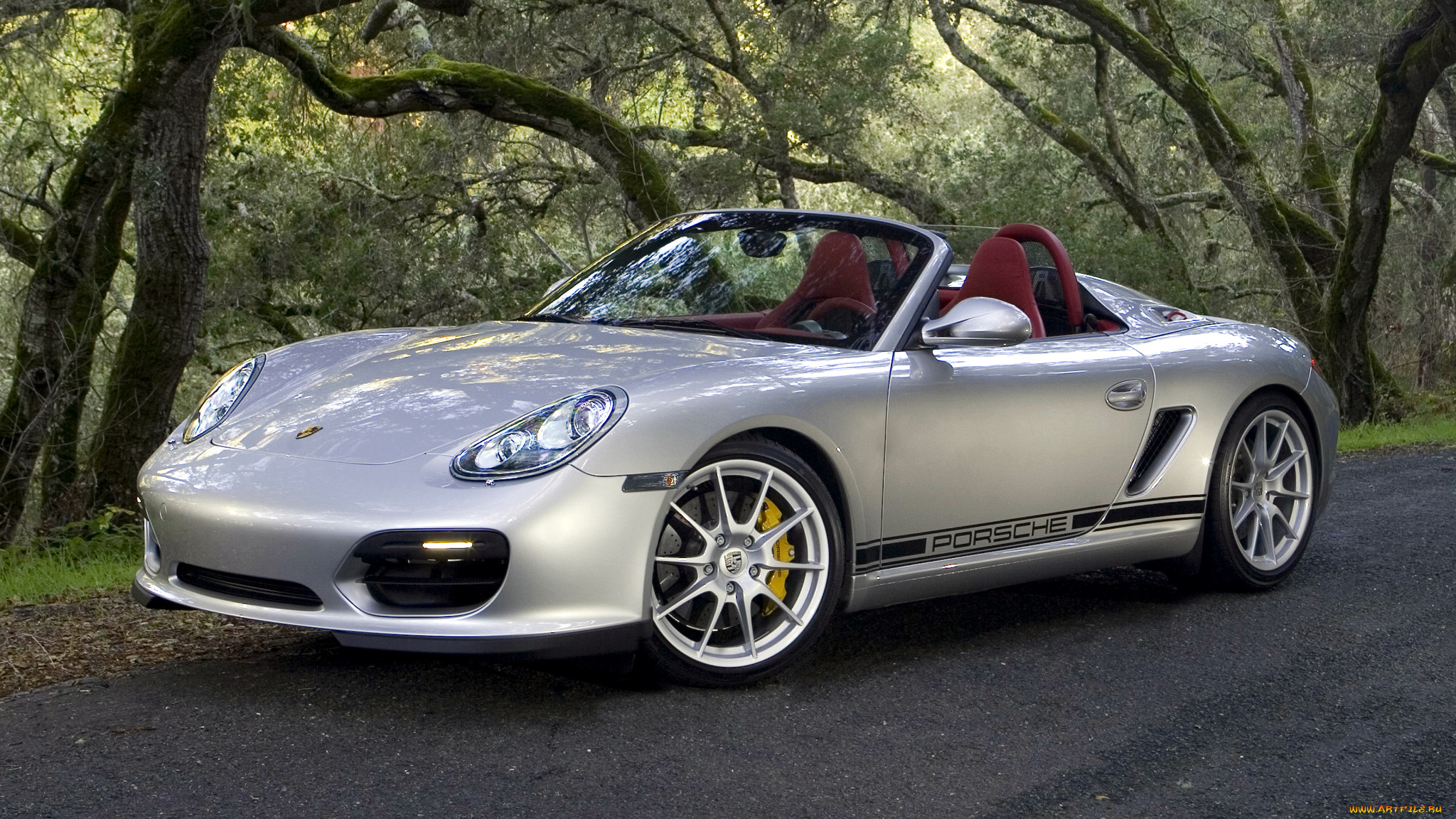 porsche, boxster, spyder, , dr, ing, h, c, f, ag, , , 